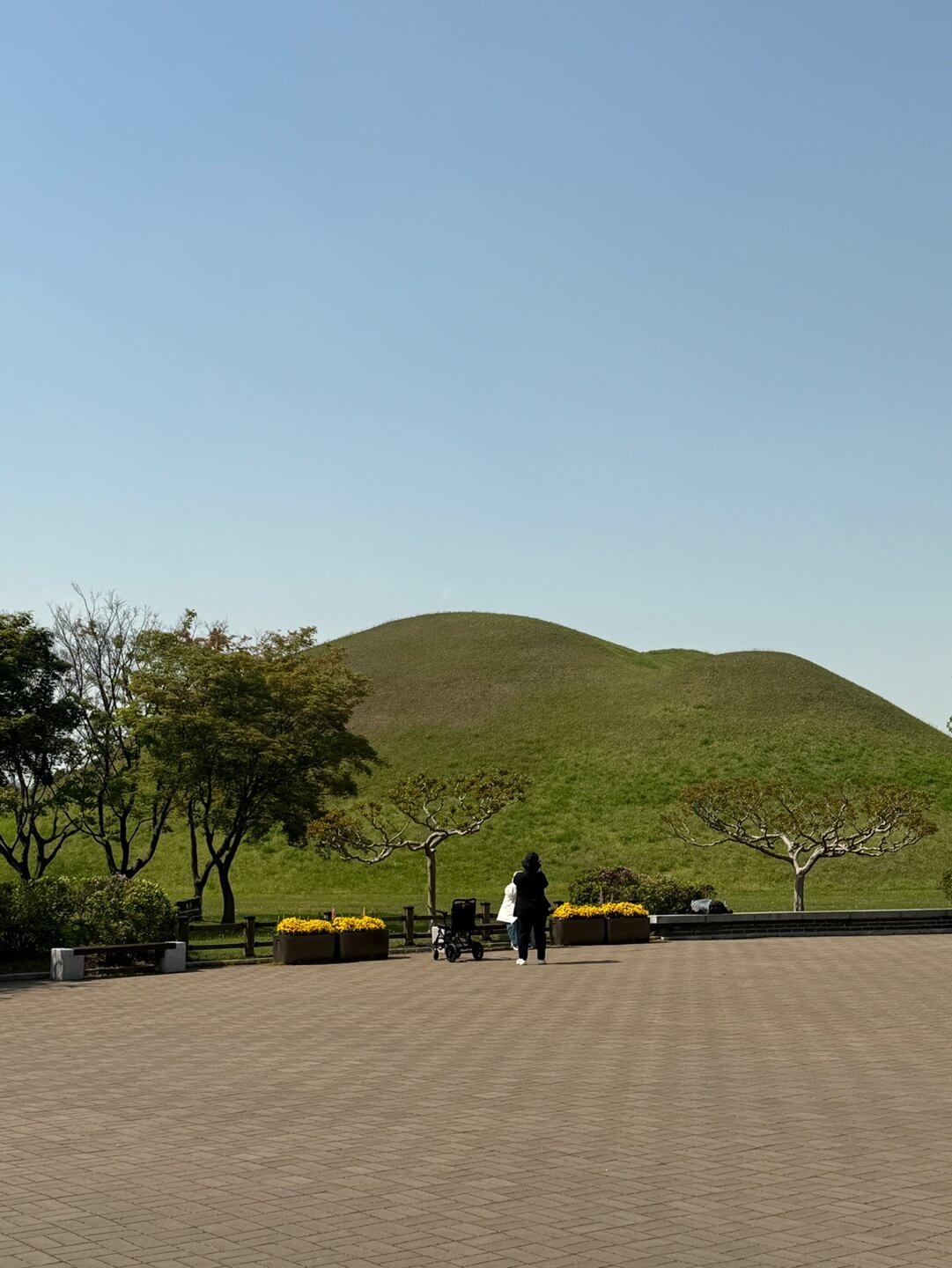 경주 대릉원 왕릉 주변 아이랑 걷기 좋은 산책길 분위기