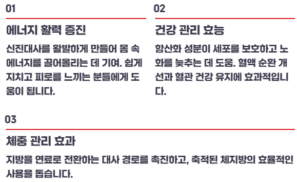 파비플로라 흑생강 효능 부작용