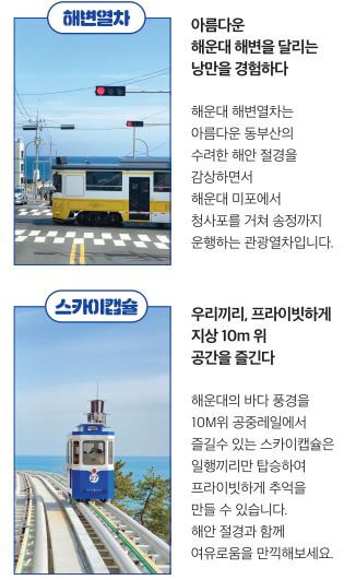 해변열차 스카이캡슐 안내