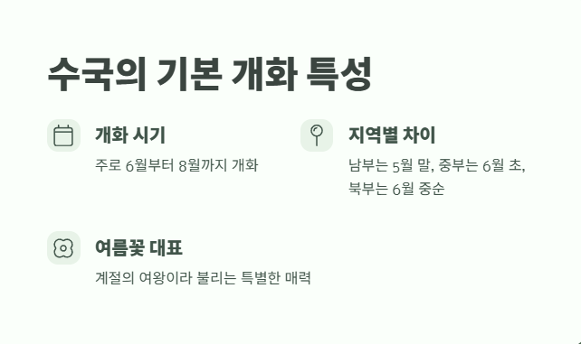 수국 개화시기 완벽 정리 1