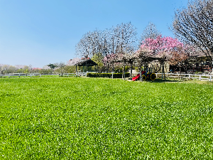 당진 아그로랜드
