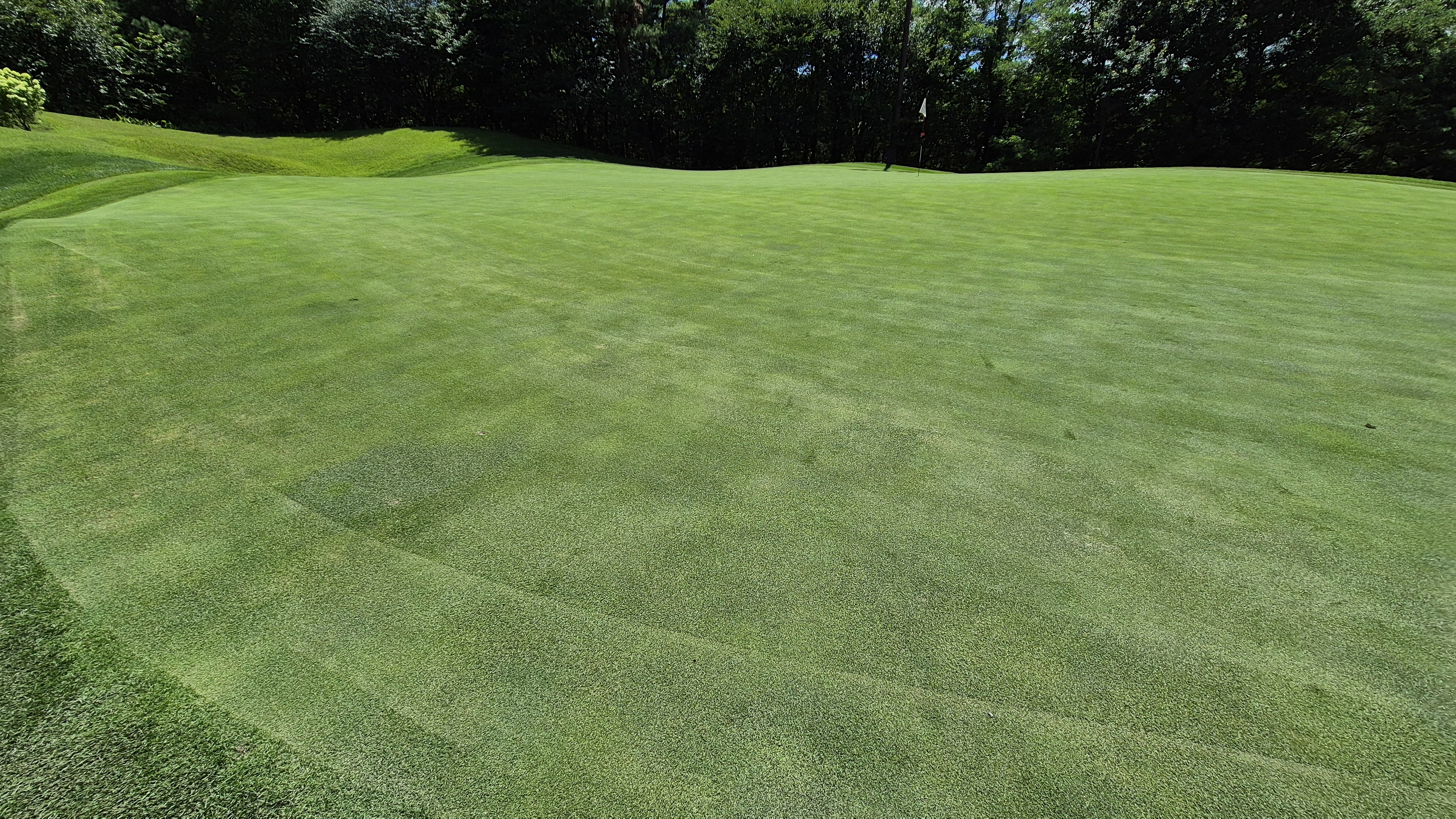 SG 아름다운cc 라운드 후기