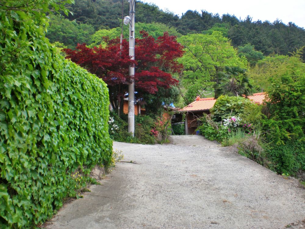 기장군 철마면 상신리마을