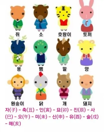 자축인묘진사오미 12간지 띠 2025년 성격_9
