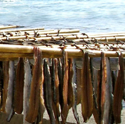 일출과메기덕장