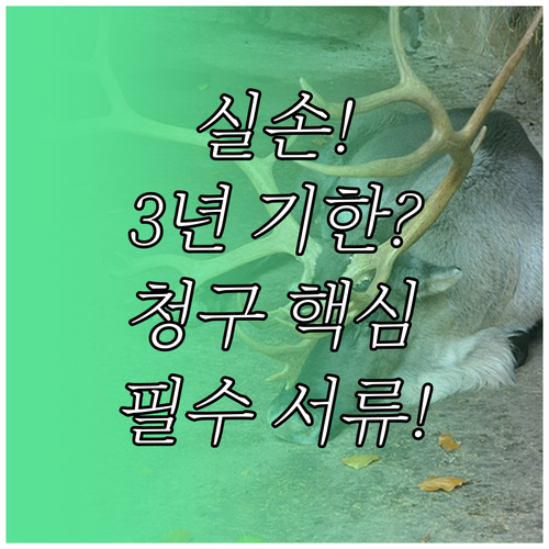 실손보험금 청구 서류 기준 청구 기한..