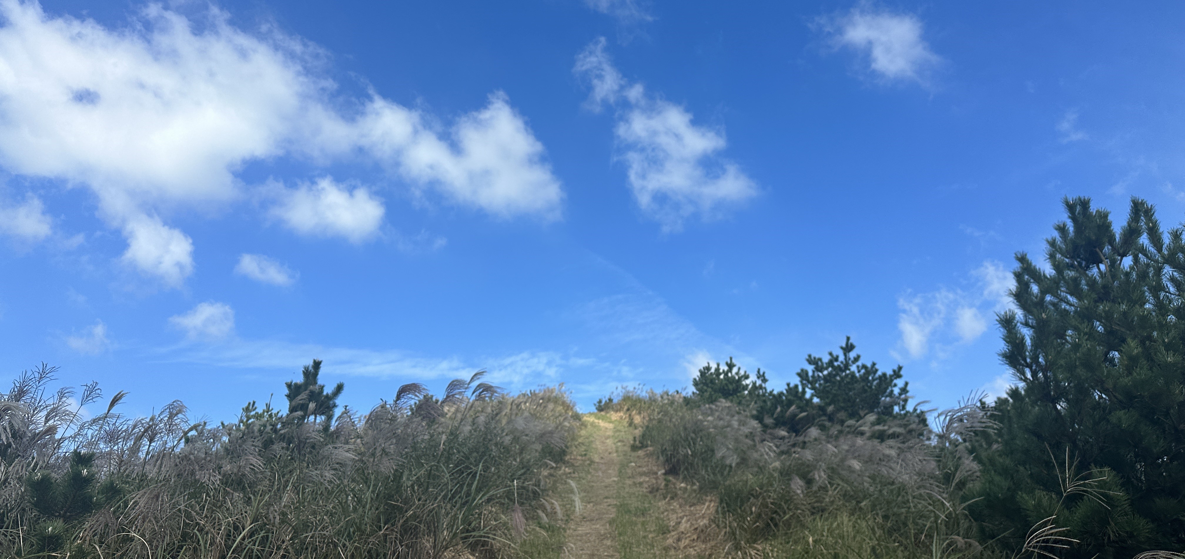 안돌오름 탐방로