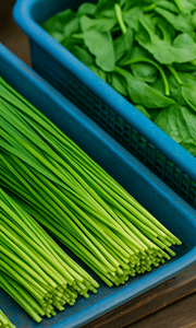 부추김치 맛있게 담그는법