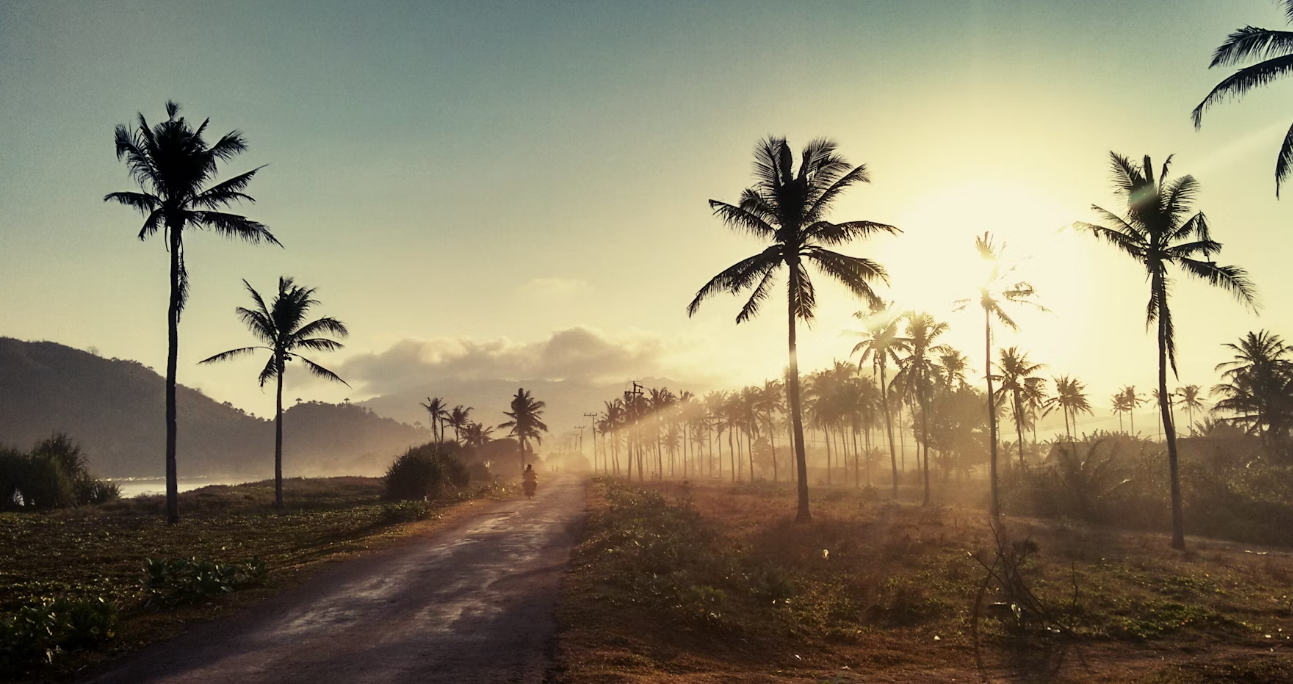 진에어&amp;#44; 노선별 운임&amp;#44;2024 하반기 진MARKET 초특가 할인!