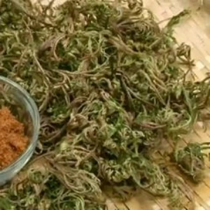말린-부처손