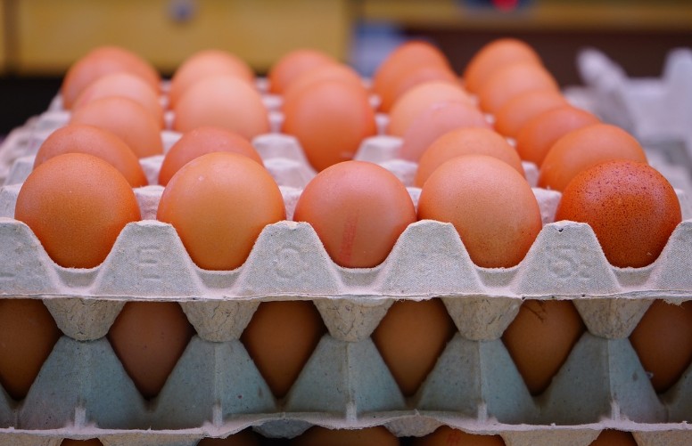 치매 예방에 도움이 되는 음식