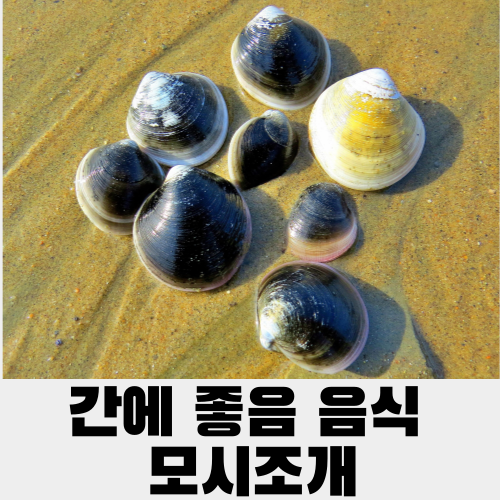 간에좋음 음식