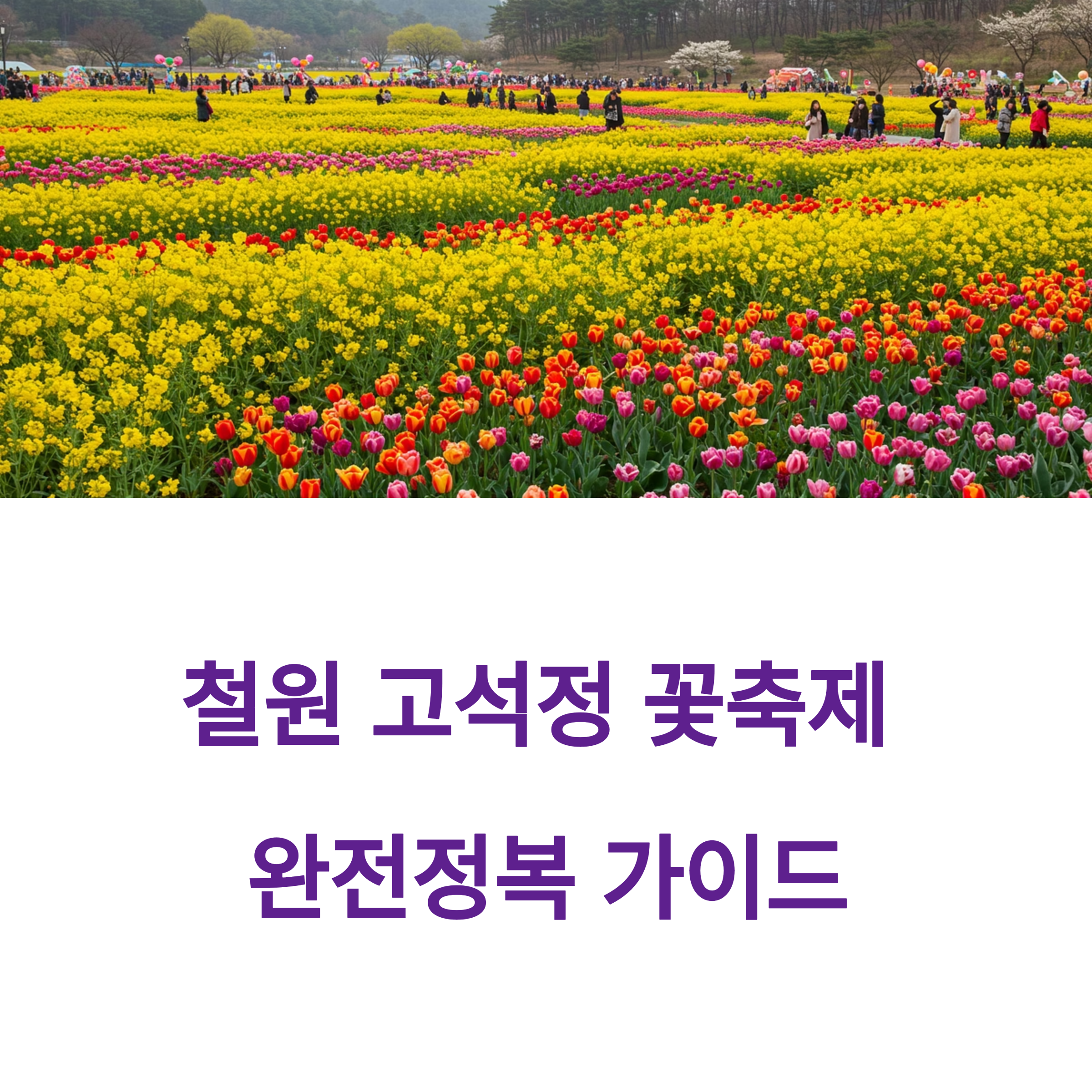 철원 고석정 꽃축제 가는길