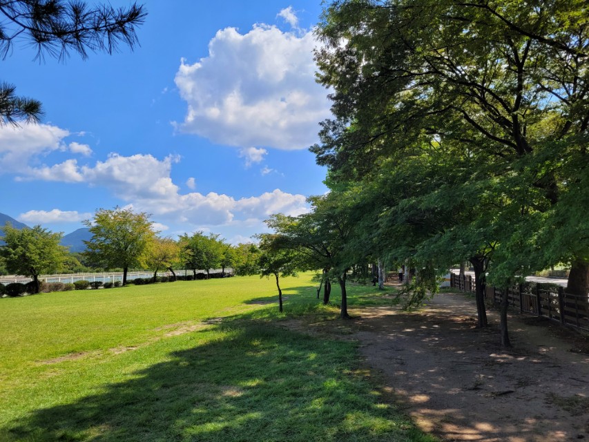 넓은 잔디와 나무 그늘이 함께 있는 미사경정공원 전경