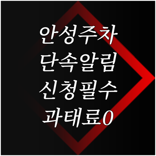 안성 주정차단속알림 서비스 등록으로 ..