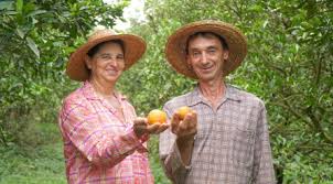 이색 음료 무역, 열대 과일 주스의 수출 성공 사례