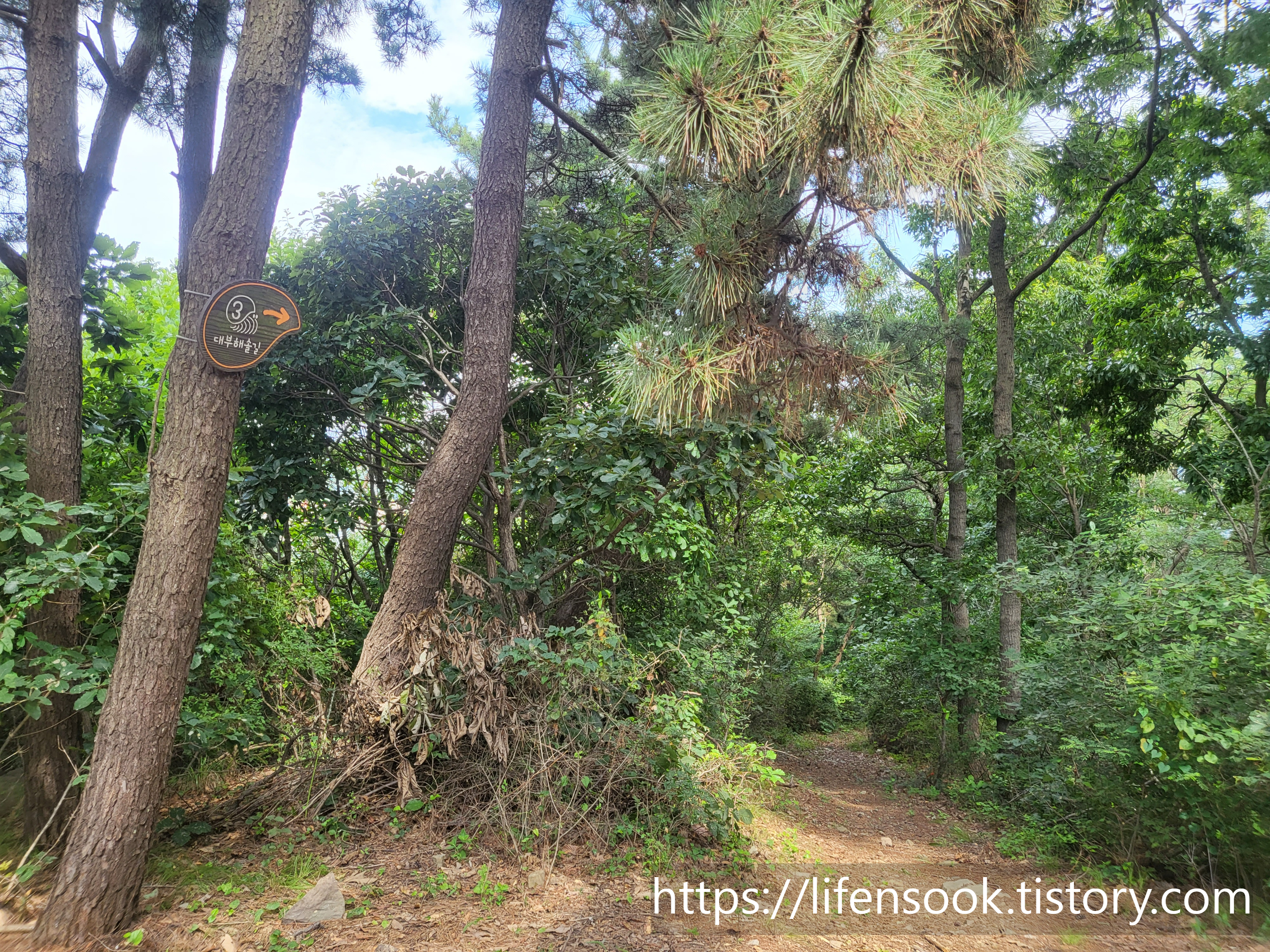 대부해솔길 3코스 큰산 3