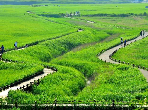 순천 가볼만한곳 베스트10