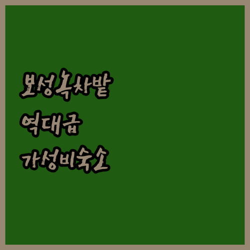 보성 녹차밭 근처 숙소 5곳 특징과 ..
