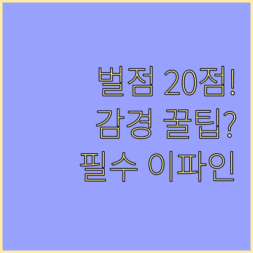 운전면허 벌점 20점 감경 방법 특별..