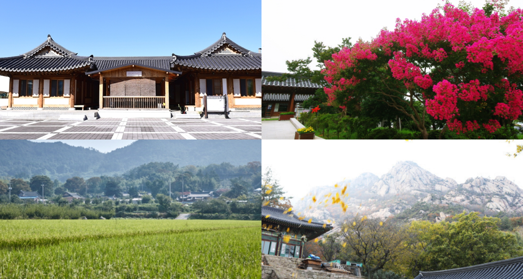 영암 가볼만한곳 베스트10