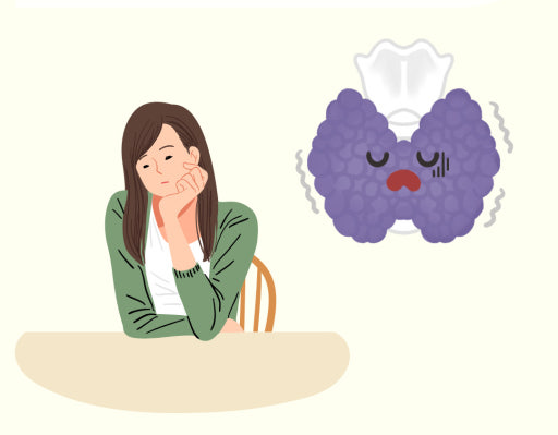 갑상선 기능저하증에 좋은 음식,피로, 살안빠짐