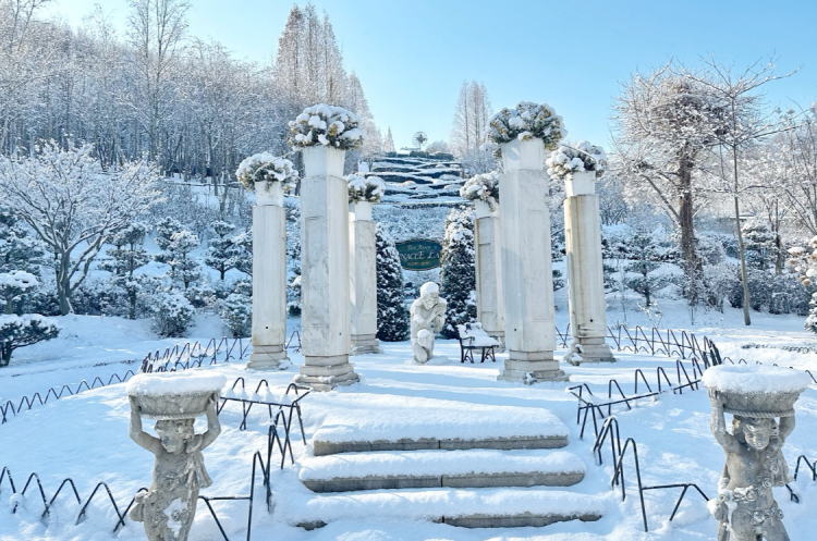 피나클랜드 수목원