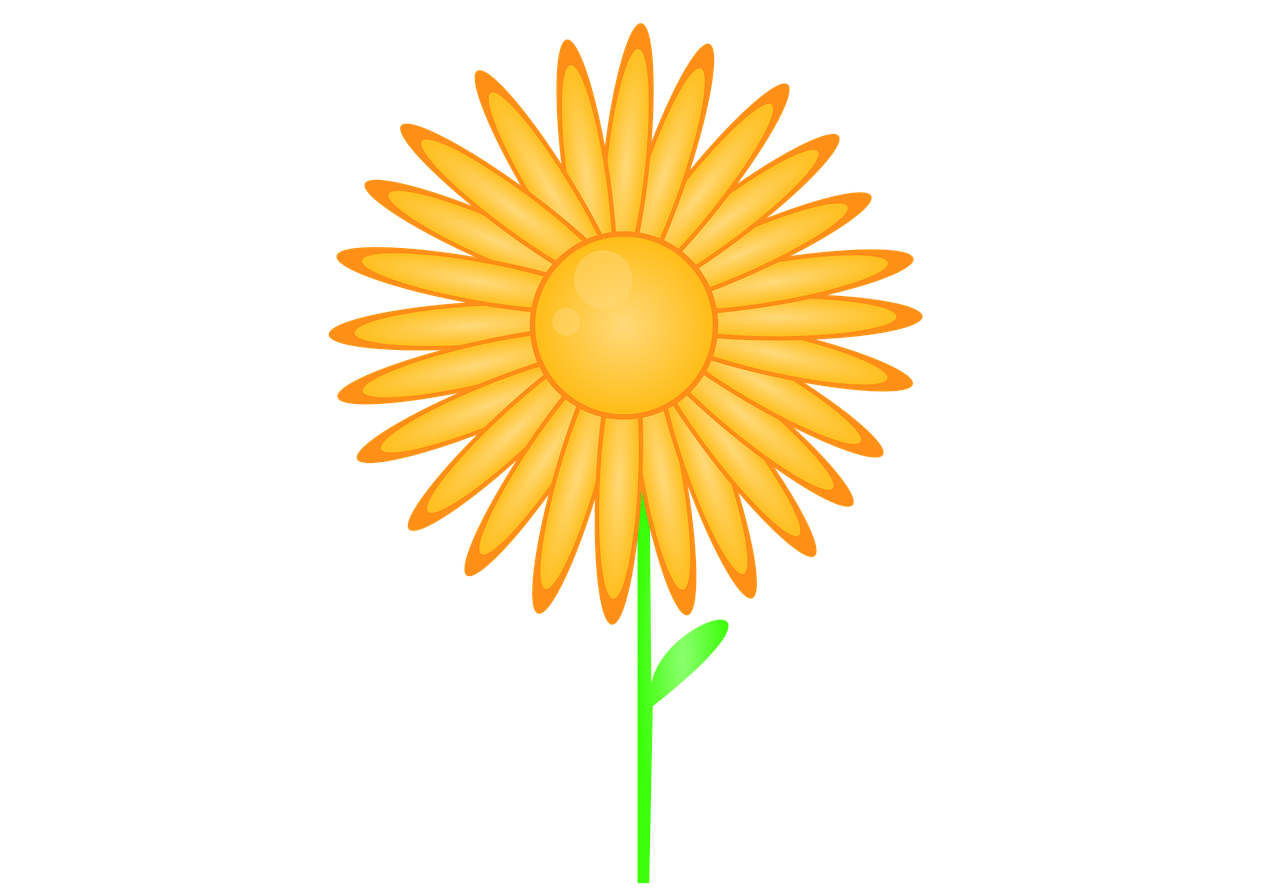 서울런 4050 평생학습포털