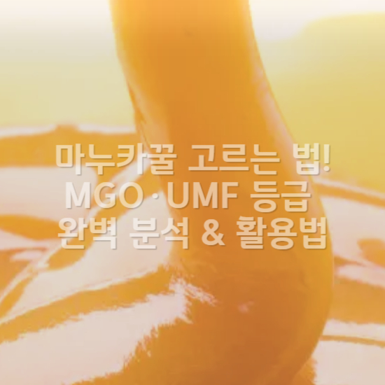 마누카꿀 고르는 법! MGO&middot;UMF 등급 완벽 분석 &amp; 활용법1