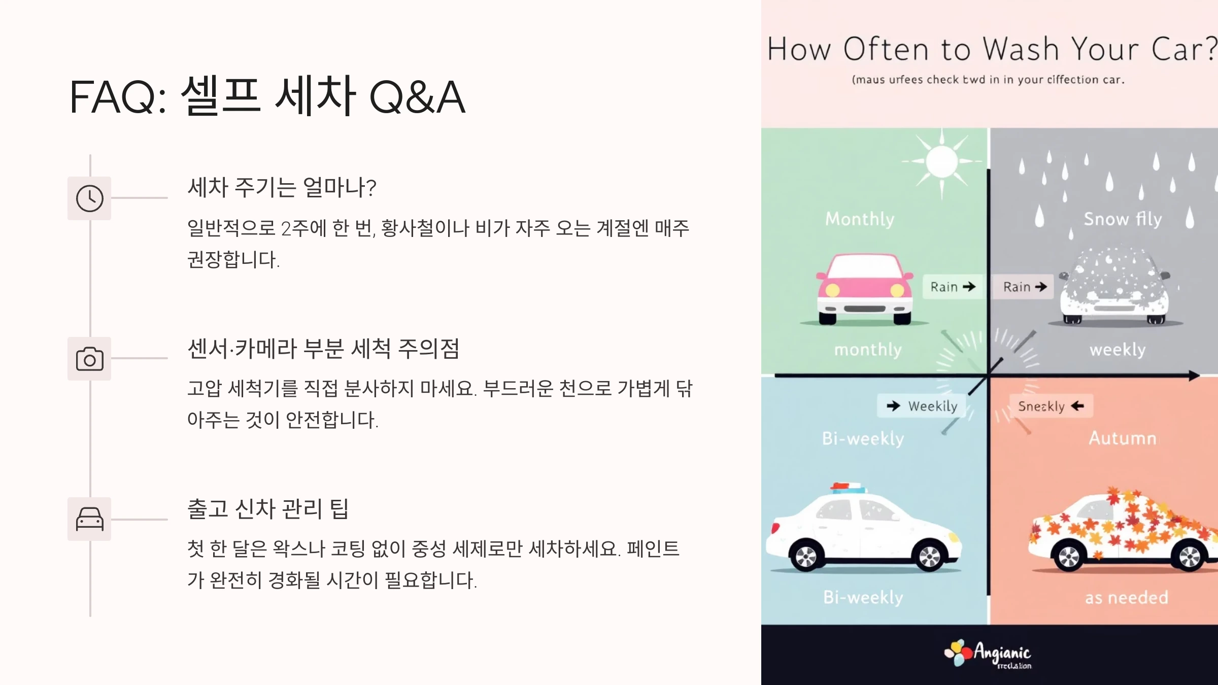 셀프 세차는 얼마나 자주 해야 하나요?