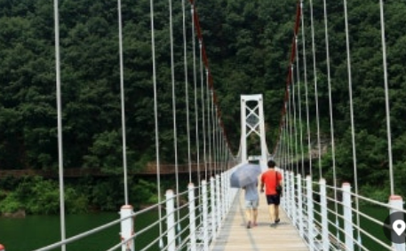 봄철 강아지 건강 주의사항 