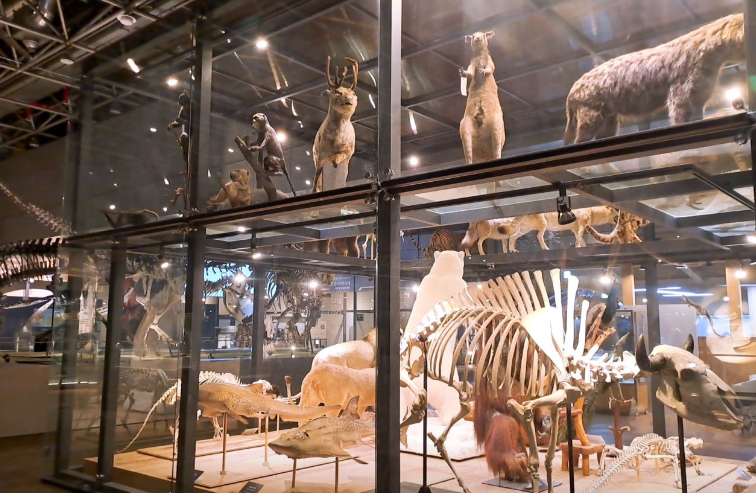 국립중앙과학관6