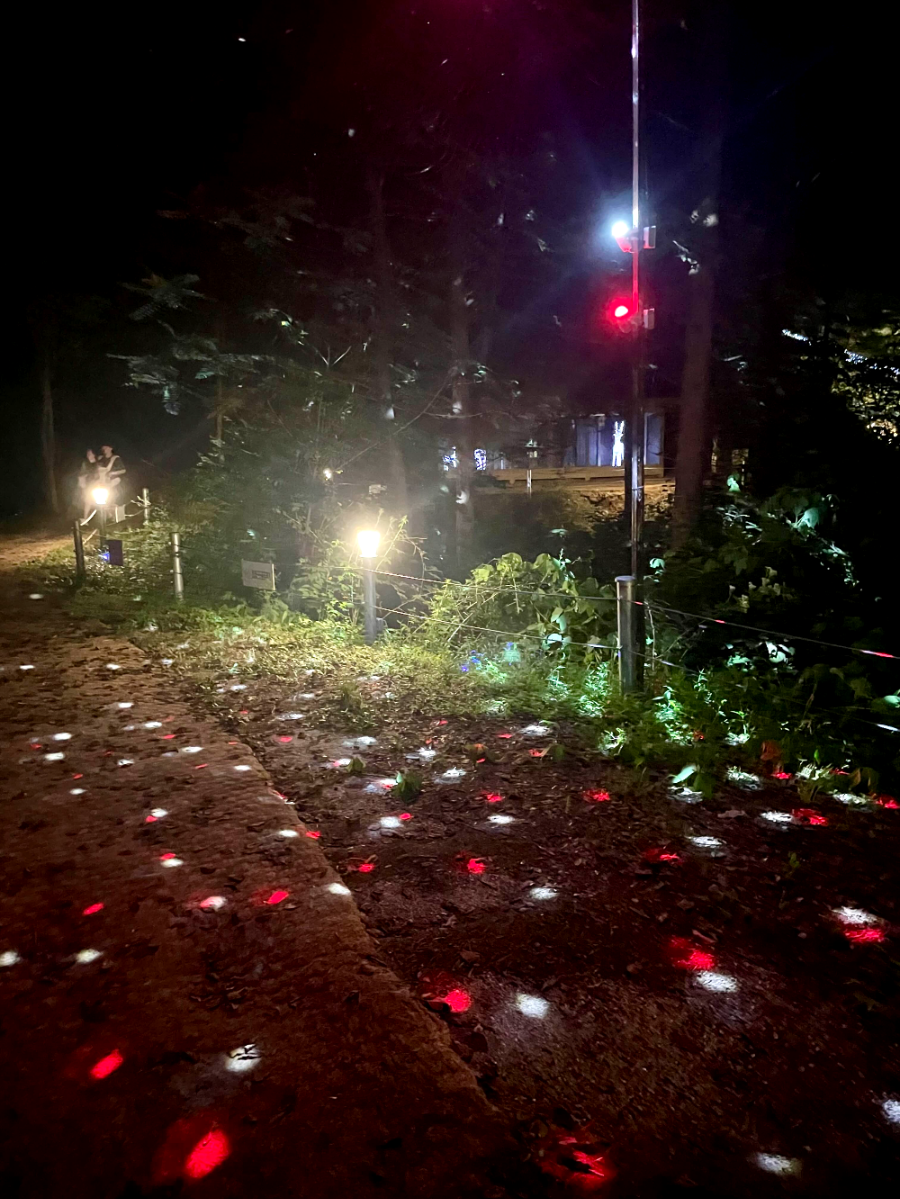 꽃빛의 메조포르테1