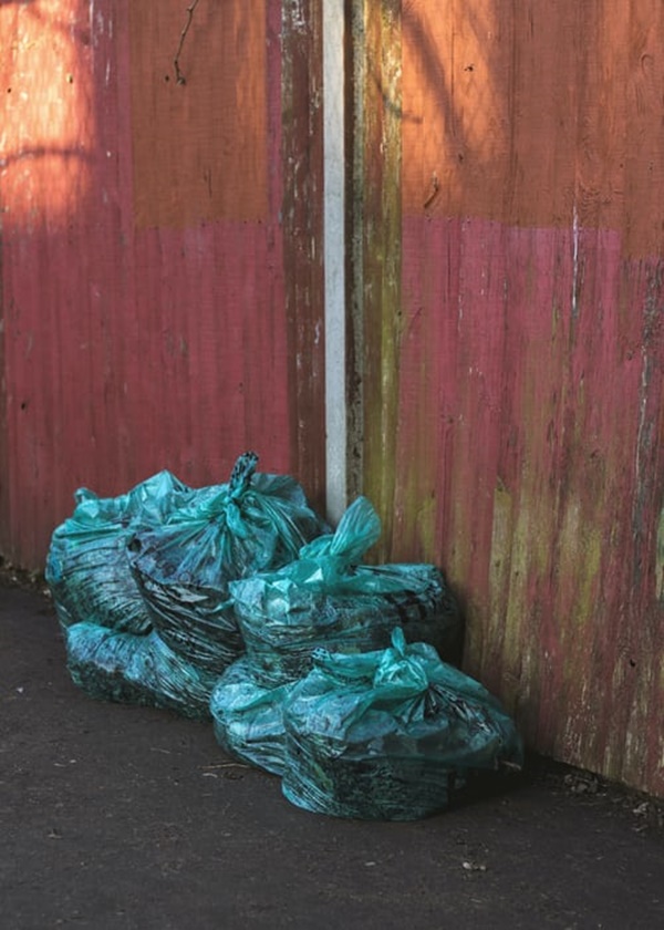 초파리 없애는 방법