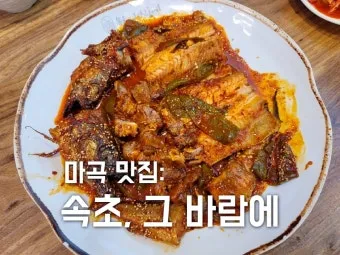 속초 바람 방향 영금정 산책 계단 휴식 포인트 소개_8