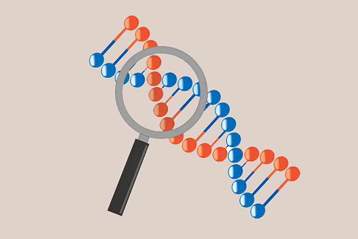 유전세포의-모습