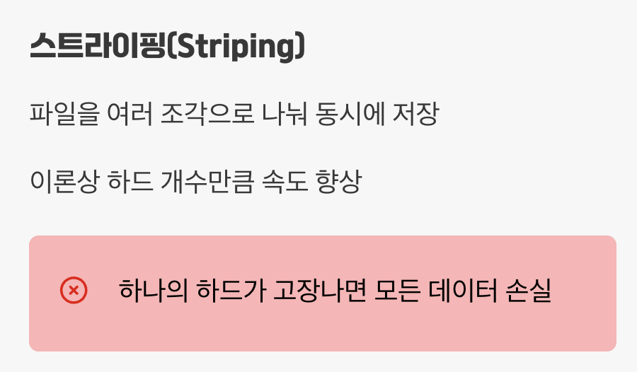 RAID 0: 오직 속도만을 위한 질주