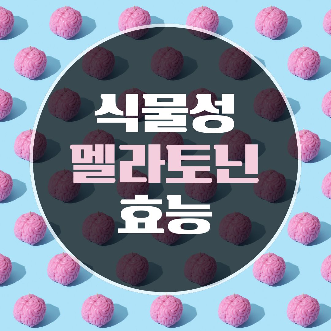 식물성 멜라토닌 효능