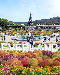 놀유니버스 에버랜드 정기권 365 스탠다드