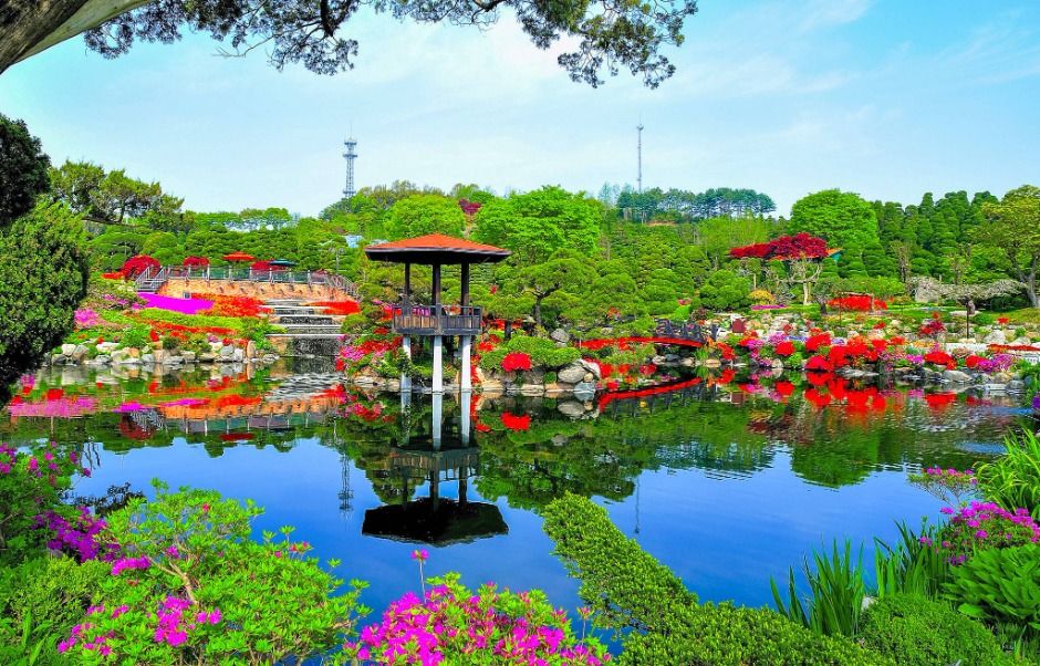 세종 베어트리파크 축제