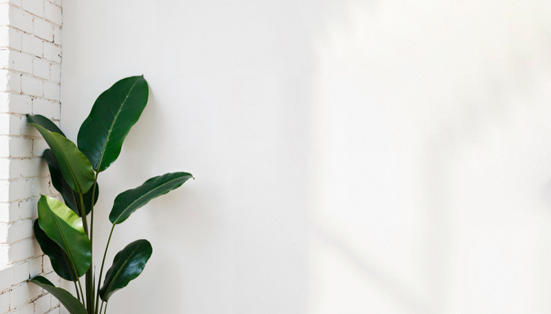 미니멀 루틴으로 찾는 여유와 집중