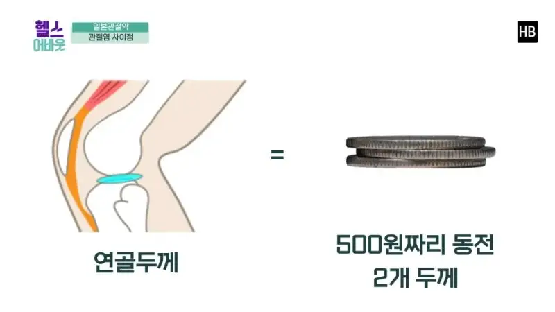 일본무릎관절염약