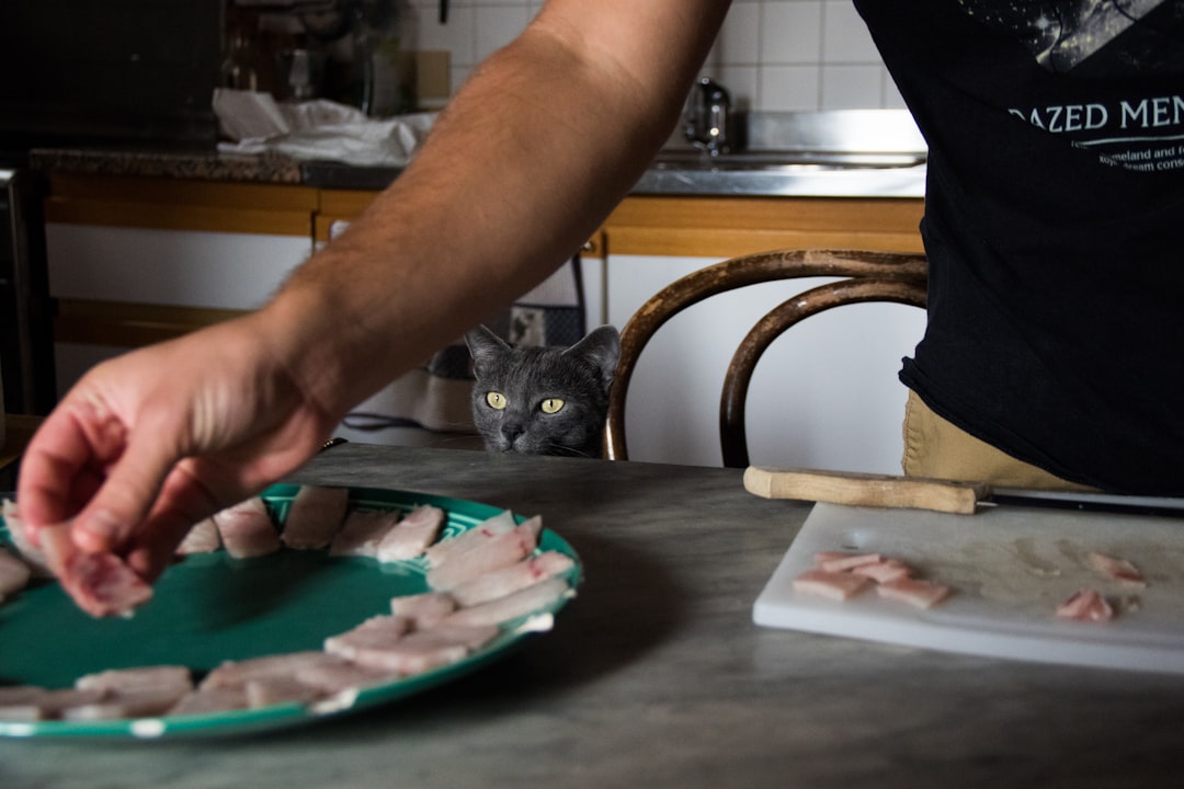 Cat food.