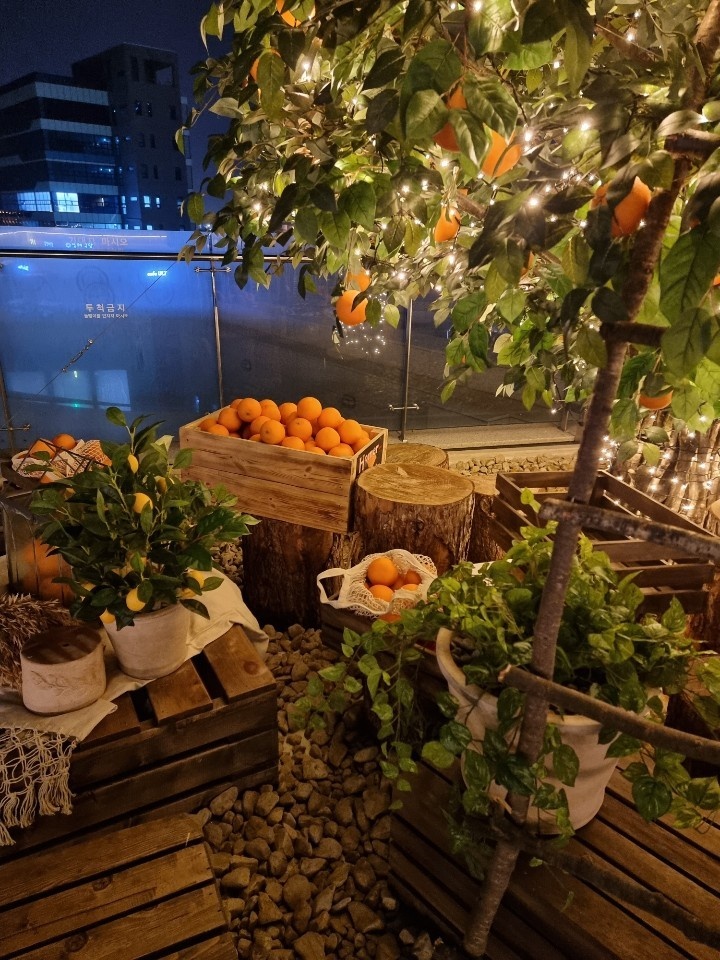 영종도 카페6