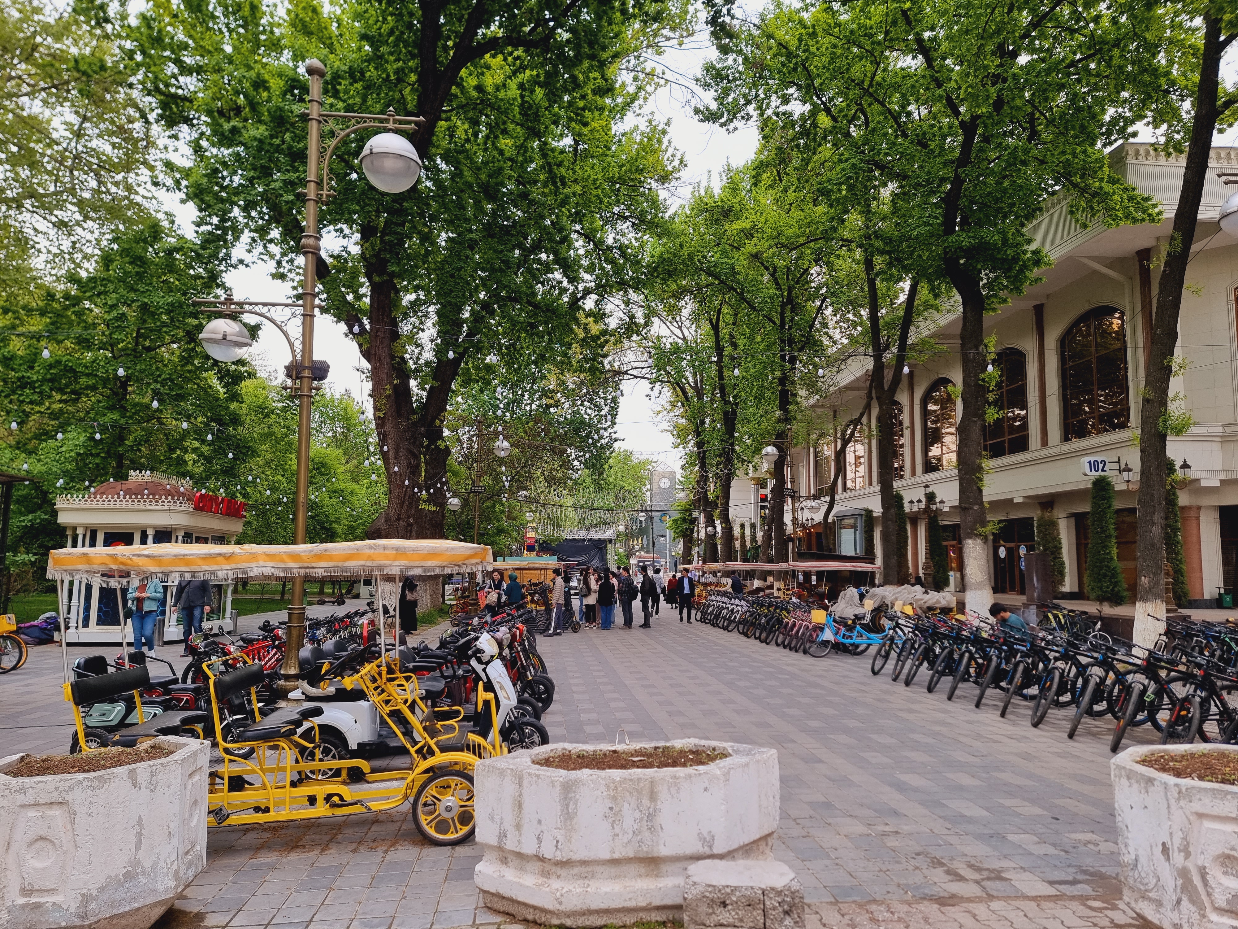 캐쉬거 공원 입구앞 자전거 및 킥보드 대여소