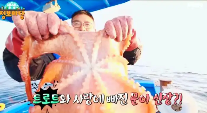 생생정보마당 문어 동해 묵호항 맛집 위치 가격