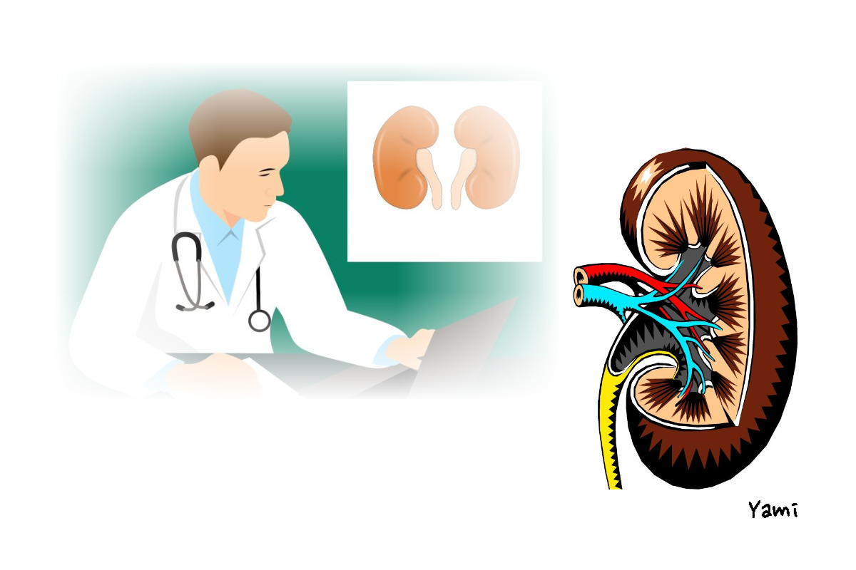 병원을_방문하여_정확한진단과_치료를_받는_것이중요