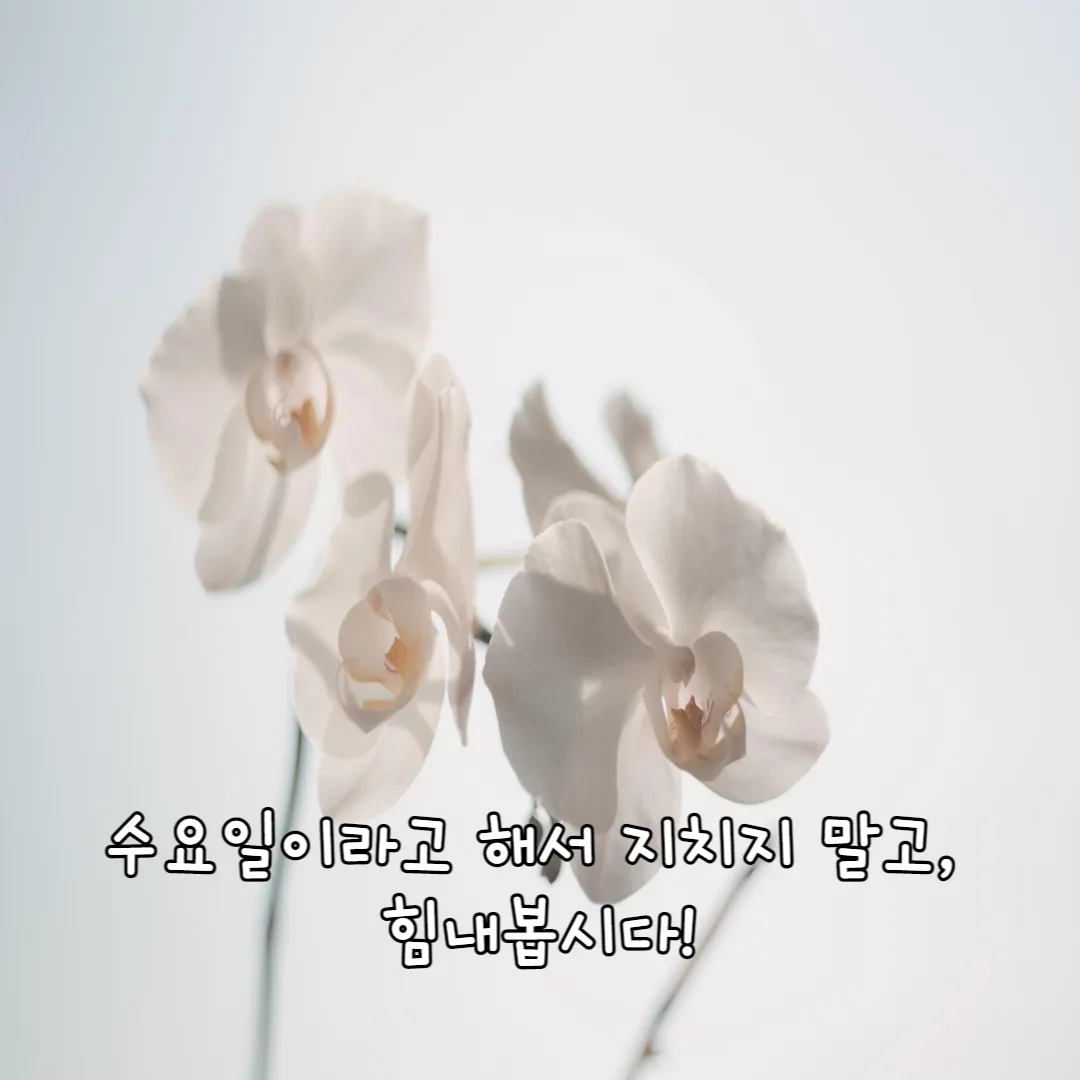 힘내는-수요일-인사말