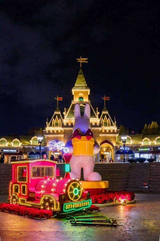 대구 이월드 일루미네이션 사진