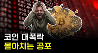 비트코인 폭락 진짜 이유